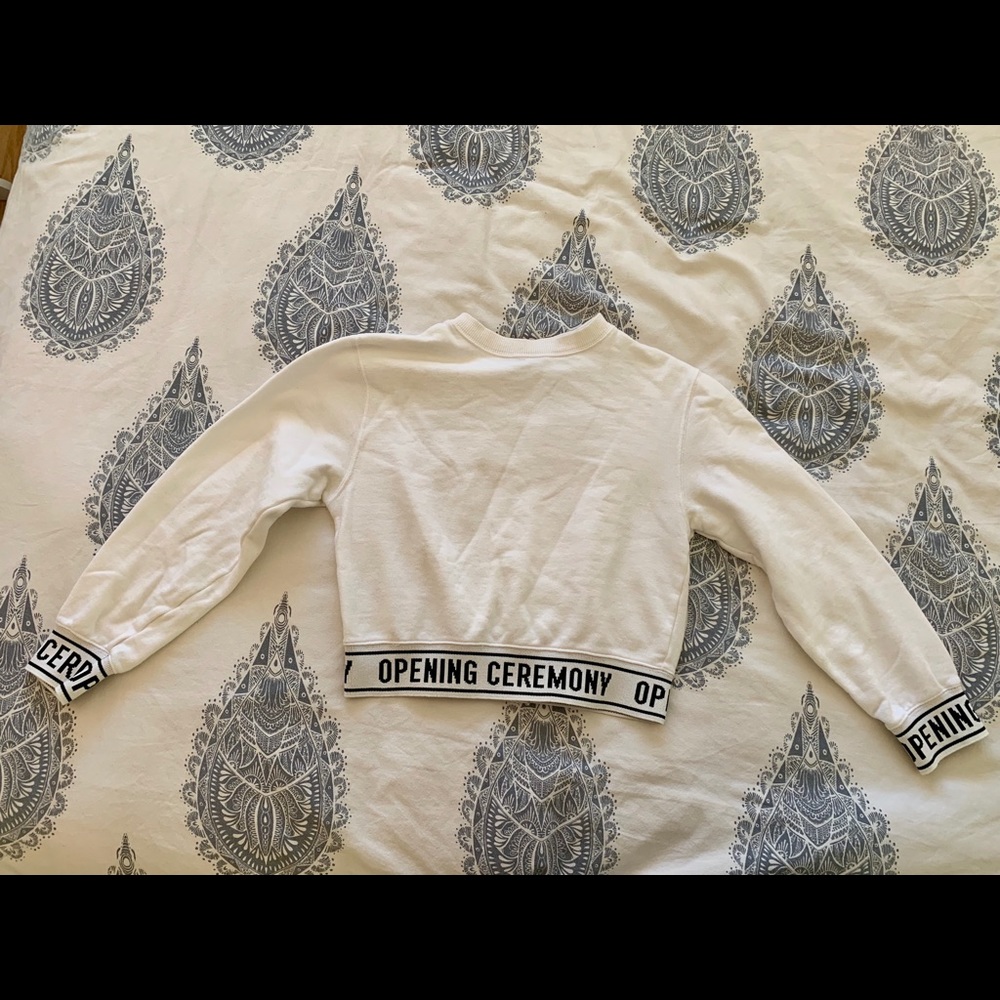 Opening Ceremony Crop Sweater